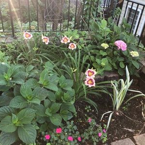 Meet your Posher, Lynn